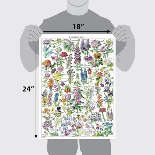 Vista 2 de Paquete de 4 pósteres vintage de flores y hongos - Cuadros de referencia de identificación botánica floral y micología y hongos Volumen 1 y 2