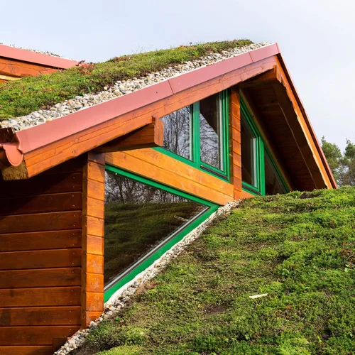 Vista 7 de Outsidepride Roof Garden Semillas Sedum - 5000 semillas perennes de cobertura del suelo para plantar, plantas suculentas resistentes al frío
