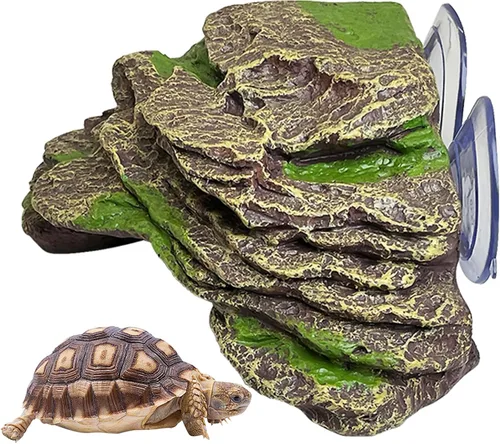 Vista 12 de kathson Plataforma para tomar el sol de tortuga, rampa de escalada de tortugas para bebé, esquisto, reptiles, muelle, terraza, piedra, pequeño