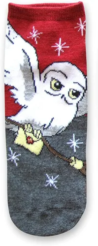 Vista 2 de Harry Potter Hedwig Hogwarts Letter JuniorsWomens 5 Pack de calcetines tobilleros talla 4-10, Multi
