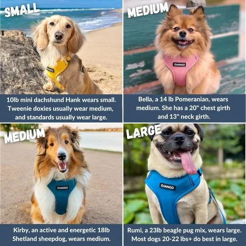 Vista 5 de DJANGO Arnés para perro Adventure - Acolchado y ajustable - Negro, pequeño