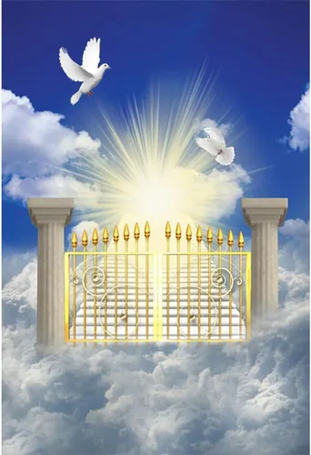 Vista 22 de Telón de fondo del cielo de 5x3 pies Puerta del cielo Puerta del paraíso Fondo fotográfico para niños, alfombra de baby shower, pancarta