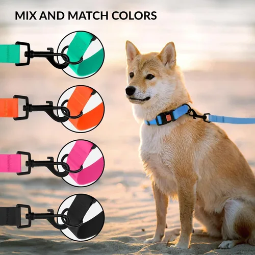 Vista 6 de CollarDirect Collar de perro impermeable – Silicona, plástico, resistente al olor, fácil de limpiar, para perros pequeños, medianos y grandes