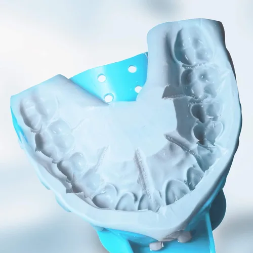 Vista 5 de JMU Bandeja de impresión dental,Bolsa de 12 bandejas desechables perforadas,1 superior grande Bandejas de impresión desechables perforadas