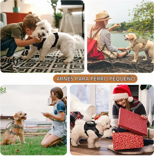 Vista 3 de Annchwool Arnés táctico para perros pequeños con asa, chaleco de servicio militar y correa para entrenamiento al aire libre, caminar, senderismo