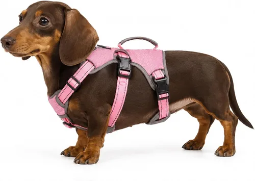 Vista 18 de Arnés de perro multiusos con soporte, arnés reflectante a prueba de escapes sin tirones ajustable con asa duradera, arnés para caminar para perros