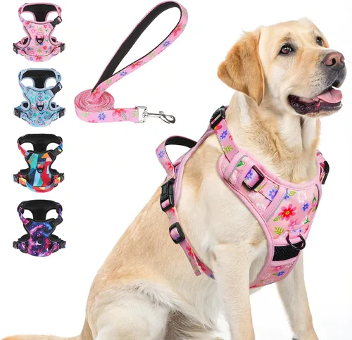 Vista 14 de BEAUTYZOO Arnés para perro sin tirones pequeño, juego de arnés y correa ajustable para perro - Fácil de usar con 3 hebillas/mango de control, arnés