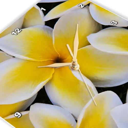Vista 3 de 3D Rose USA-Hawaii-Oahu-Plumeria Flowers in Bloom - Reloj de pared, 13" x 13