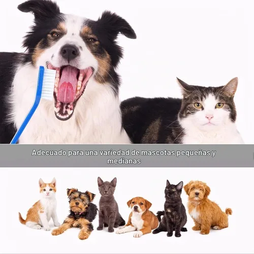 Vista 6 de Newday 50 cepillos de dientes de doble cabeza para perros y gatos, cerdas súper suaves, cepillo de dientes para el cuidado bucal, cepillo de dientes