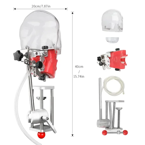 Vista 6 de Simulador de boca Phantom Head Teaching Head Modelo Fix on Table Modelo de diente Typodont reemplazable Ajuste de 360 grados para dentistas