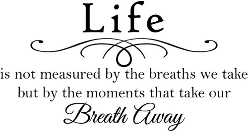 Vista 17 de Newclew Vinilo decorativo para pared con texto en inglés «Live Every Moment, Laugh Every Day», «Love Beyond Words»