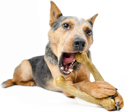 Vista 6 de Pet Qwerks Wishbone BarkBone - Juguete masticable de nailon para masticadores agresivos, sabor a mantequilla de maní, 8.25 pulgadas