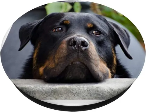 Vista 2 de Sweet Rottweiler - Agarre y soporte para teléfonos y tabletas