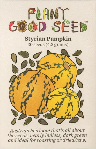 Vista 9 de Plant Good Seed Semillas orgánicas de calabaza de invierno Burgess Buttercup - Paquete de 30, semillas tradicionales para plantar verduras