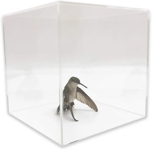 Vista 4 de Cubo de exhibición de acrílico (5 "x 5" x 5" - 0.118 in) Exhibición de joyeríacomercializacióncajaalmacenamiento Paquete de 4 super Saver