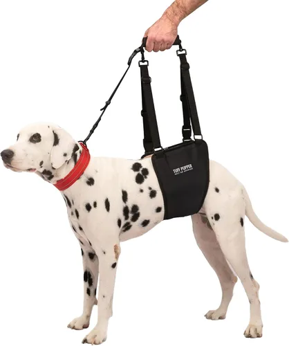 Vista 9 de Tuff Pupper Arnés de cadera para perros Soporte de elevación trasera para perros mayores y lesionados Ayuda de movilidad ajustable Mango