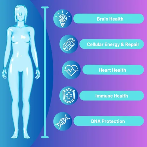 Vista 3 de Advanced Bionetix Cápsulas NMN Resveratrol Betaína (TMG) – NAD+ refuerzo de apoyo para energía celular, longevidad, salud metabólica vitalidad