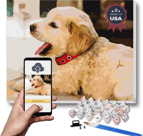 Vista 10 de Texture of Dreams Kit de pintura personalizada por números para adultos, pintura acrílica, pintura al óleo sobre lienzo enmarcado y estirado