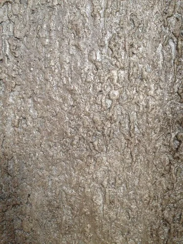Vista 2 de Tru Tex Light Bark - Funda de rodillo con textura para hormigón, vertical, retoques, encimeras, superposición, patrones rápidos, fáciles de usar