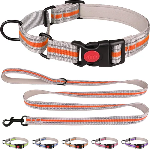 Vista 7 de Collar Martingala para perros, juego de collar y correa Martingala reflectante acolchado de neopreno suave con hebilla de seguridad, collar Azul