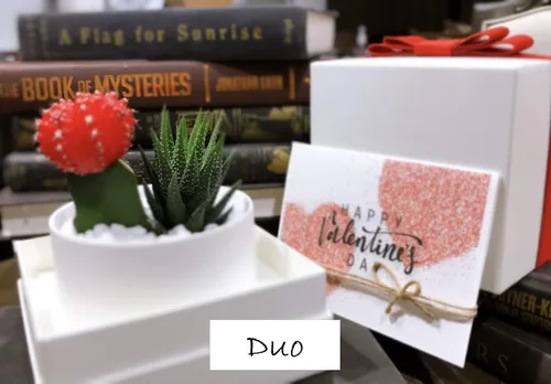 Vista 5 de Caja de regalo suculenta (Blush - Gris Pot&Box)