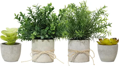 Vista 11 de Paquete de 4 plantas artificiales pequeñas para interiores