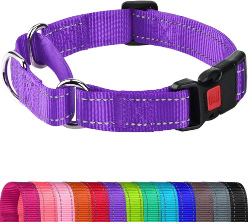 Vista 18 de Joytale Collar Martingale para perros, reflectante resistente para mayor seguridad, hebilla de liberación rápida, collares de nailon ajustables