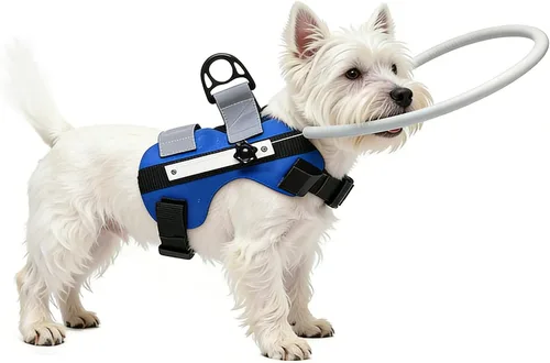 Vista 9 de GabeFish Arnés de anillo para perro ciego, anillo ciego ligero para mascotas, protector de golpes para perros ciegos, azul, pequeño