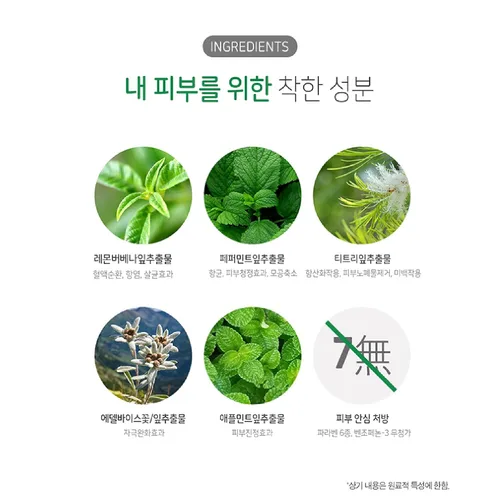 Vista 3 de GASHINA STORY Mint Pore - Espuma limpiadora coreana para lavado facial (renovación), limpiador facial coreano para refrescar la piel propensa al