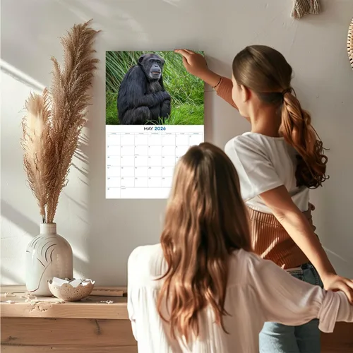 Vista 194 de Calendario de grises africanos 2025 2026 – Planificador mensual de pared de aves africanas – 12 x 18 pulgadas (abierto), calendario de pared