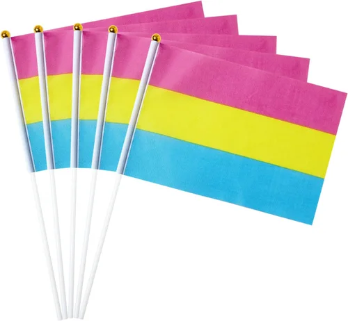 Vista 9 de GentleGirl Paquete de 12 banderas de arco iris del orgullo asexual, pequeñas banderas de mano gay LGBT Festival Fiesta Desfiles Decoraciones