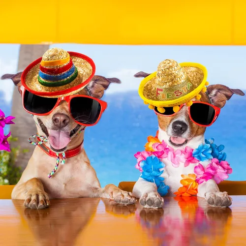 Vista 4 de 36 diademas de Cinco de Mayo, diadema de fiesta mexicana con flecos de bola, mini sombrero mexicano, diadema para decoración temática, accesorios