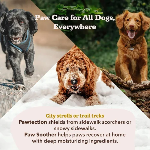 Vista 5 de Natural Dog Company Paquete de bálsamo calmante y palito para perros – Hidrata, cura y protege las patas secas y agrietadas – Bálsamo para patas