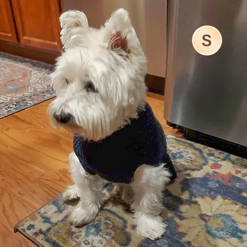 Vista 7 de KYEESE Suéter para Perro con Agujero para Correa para Perros Pequeños Machos Suéter Cálido con Hilo Reflectante Tejido Suave Ropa para Perros Machos