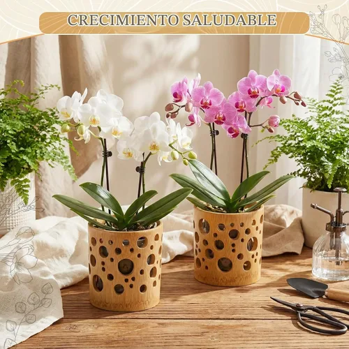 Vista 5 de Paquete de 2 macetas de bambú, maceta redonda transpirable de 4 pulgadas con diseño hueco para un flujo de aire óptimo, orquídea marrón claro