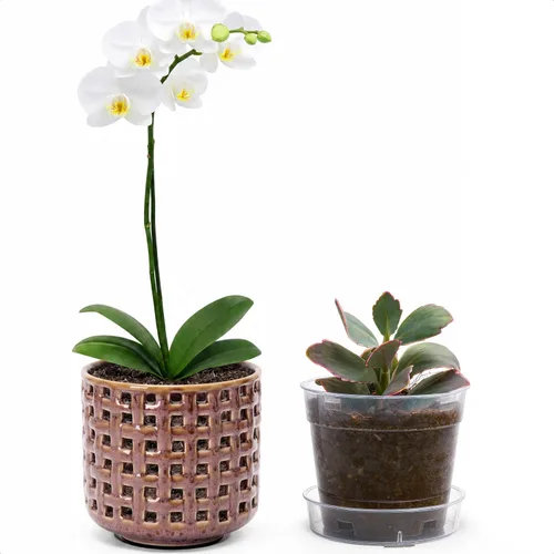Vista 10 de D'vine Dev Orchid Pot, Clear Pot & Saucer, Smoked White, 6.7 in, 28-A-Y-1 Blanco ahumado