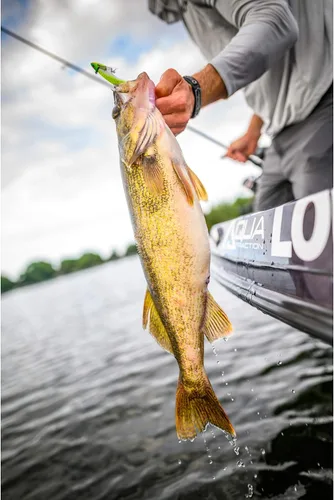 Vista 6 de ¡Berkley Gulp! Cebo suave de pesca de pececillos vivos