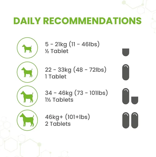 Vista 5 de Vetzyme Piel seca de perro con onagra