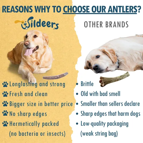 Vista 6 de Wildeers Cuernos divididos para perros medianos, paquete de 2, fabricados en Estados Unidos, cuernos de alce de grado A, huesos masticables