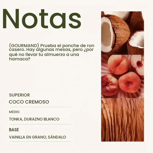 Vista 4 de LA JOLIE MUSE Vela de vainilla y coco – Coco, freesia y vainilla Vela de mecha de madera grande de 19 oz Cera de soja natural 90 horas de Isla