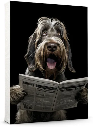 Vista 202 de Thuan Affenpinscher - Póster de lienzo con tus fotos, arte de pared para decoración del hogar, regalo conmemorativo para amantes de las mascotas