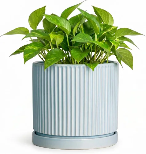 Vista 8 de 8 Inch Flower Pot, Ceramic Planters, Round Plant Pot, Beige