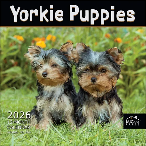 Vista 30 de MICASA PRESS Calendario de pared de Australian Shepherds Aussies 2027 02 - Pastores australianos