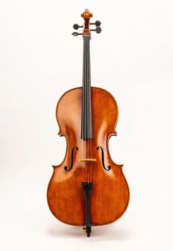 Vista 2 de Cello D Z Strad Modelo 600 Tamaño 1/2 Hecho a mano por Luthiers ganadores del premio