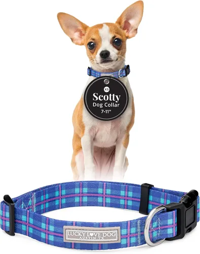 Vista 94 de Lucky Love Dog - Collar para perras pequeñas, diseño Blackbird de estampado alegre con flores de primavera y verano, talla XS Collar Blackbird