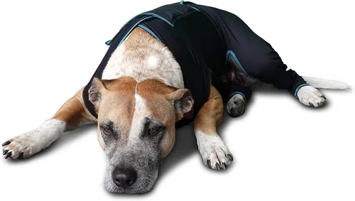 Vista 6 de BENEFAB Traje terapéutico cómodo para perros — Chaqueta ligera de infrarrojo lejano para caninos de todas las edades — Traje de compresión relajante
