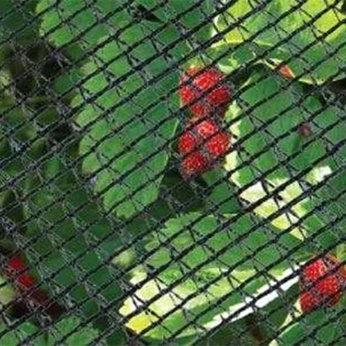 Vista 6 de Dewitt Red de malla de barricada para pájaros, 14 x 45 pies, red de protección de jardín de polietileno para frutas, verduras, árboles, flores