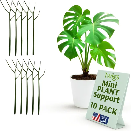 Vista 22 de Estacas de soporte para plantas para uso en interiores y exteriores, alternativa duradera de enrejado para plantas trepadoras y en maceta