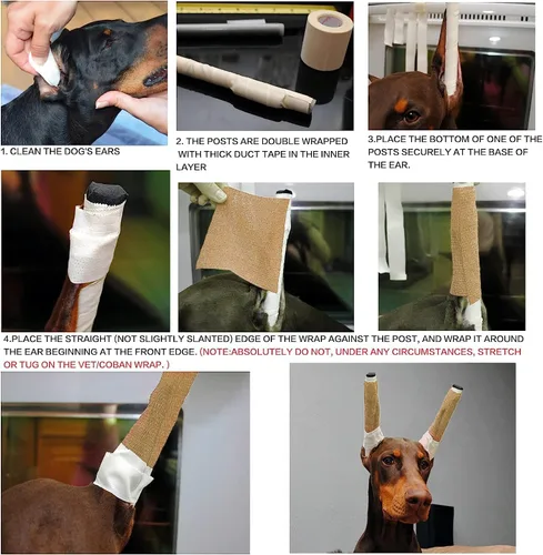 Vista 2 de Pacify Doberman Kit de publicación de orejas de perro, herramienta de soporte para orejas de perro con cinta Doberman Pinscher Dogs