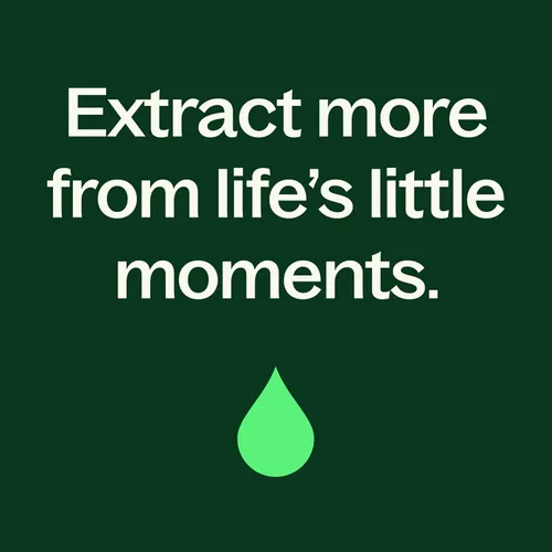 Vista 7 de Plant Therapy Aceite esencial de mirto de limón 0.3 fl oz (1/3 oz) 100% puro, sin diluir, aromaterapia para apoyo inmunológico, desodorizante